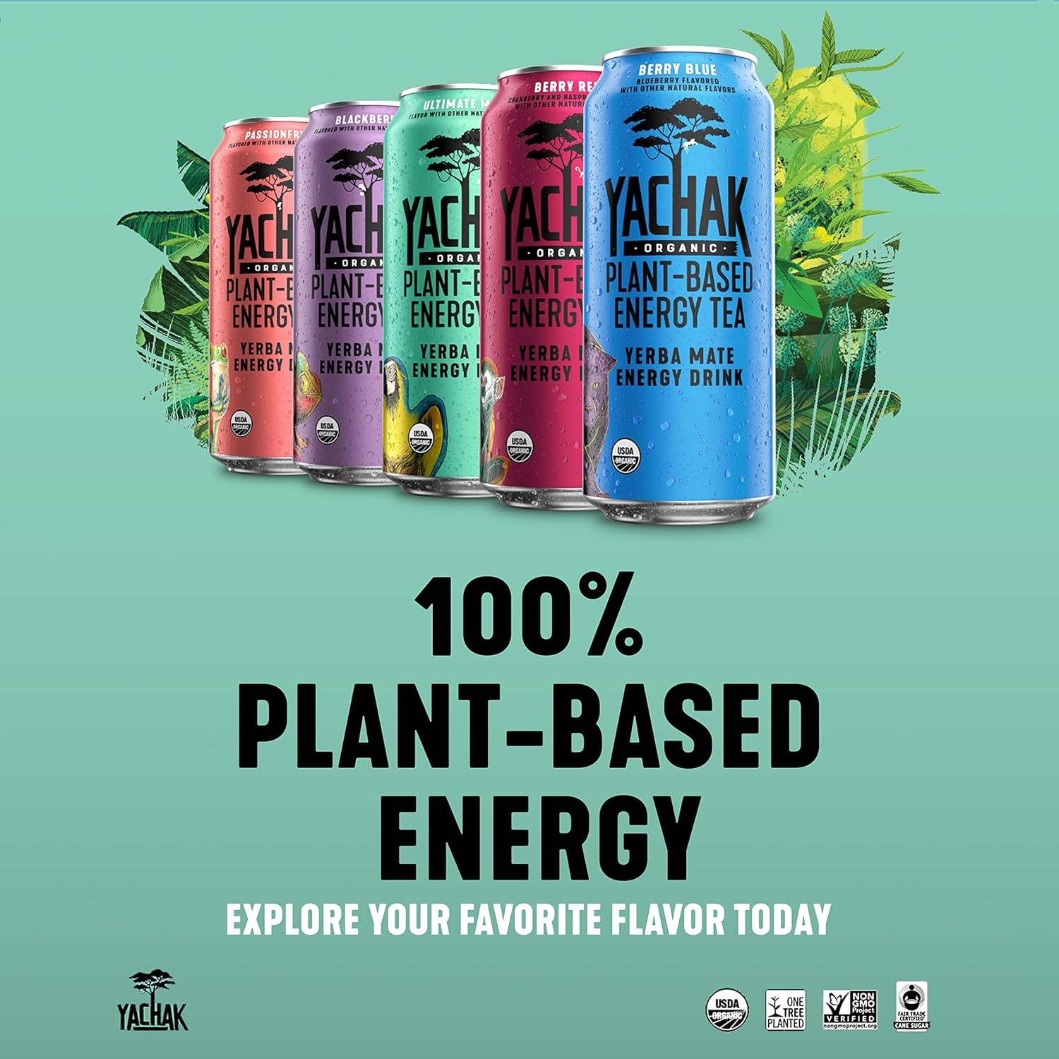 Bebida de Yerba Mate Orgánica Yachak Sabor Mora - 12 Latas 473ml