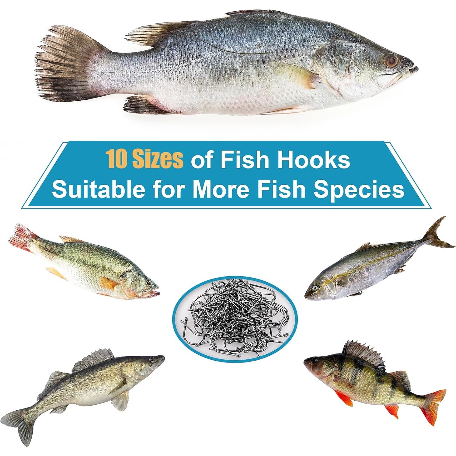 500 Anzuelos de Pesca ReeMoo de Acero al Carbono - 10 Tamaños