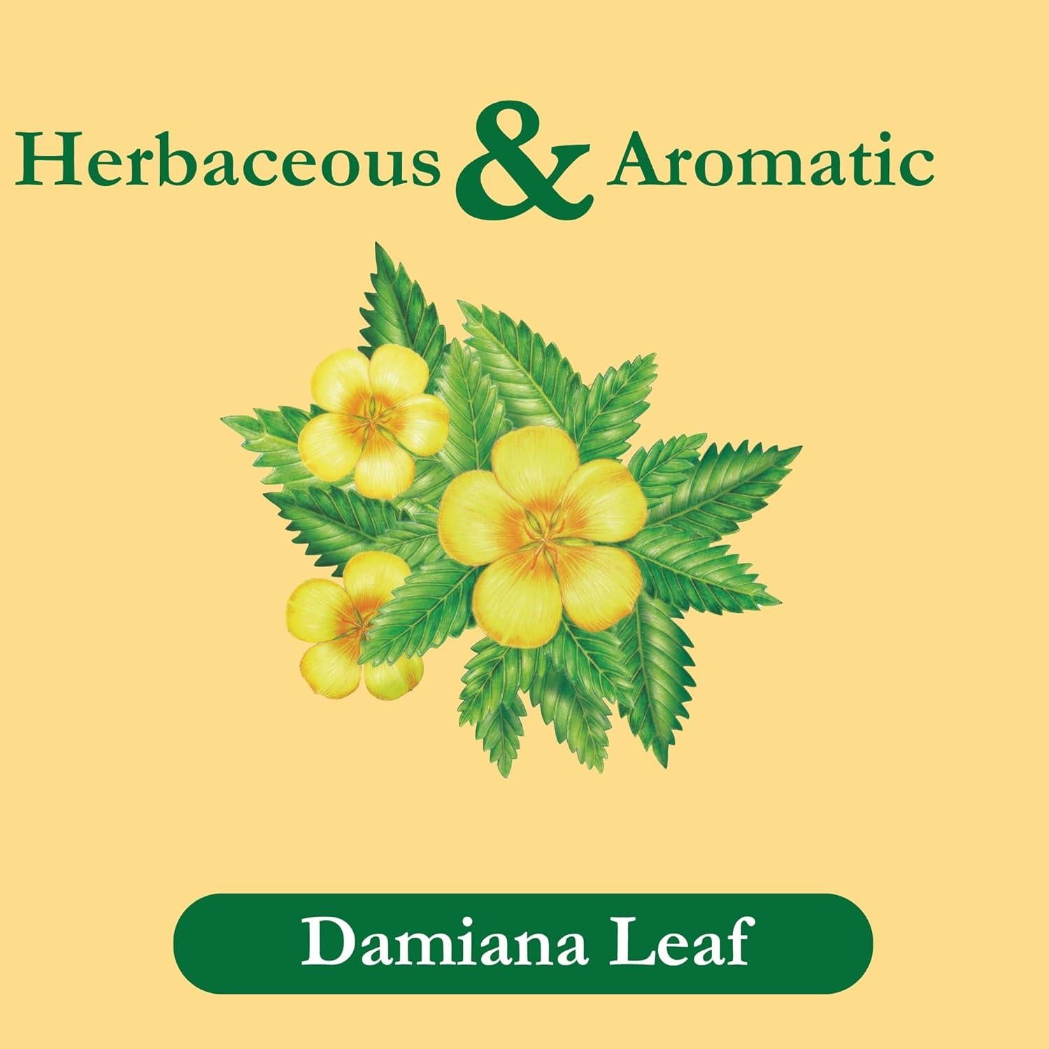 Té de Hierbas Sin Cafeína Tadin Damiana 144 Bolsitas