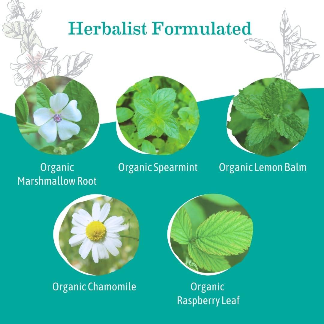 Té Orgánico para la Acidez Earth Mama | 96 Bolsitas Calmantes