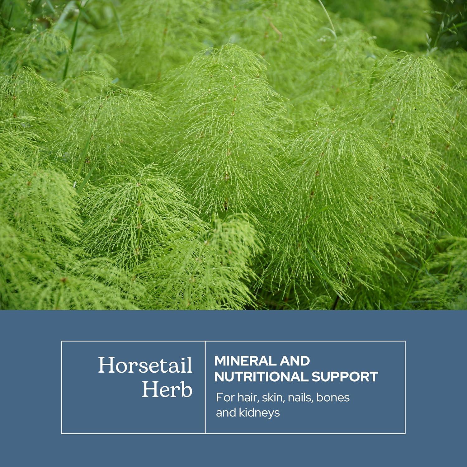 Cápsulas de Cola de Caballo Cruda Liofilizada Eclectic 90 CT