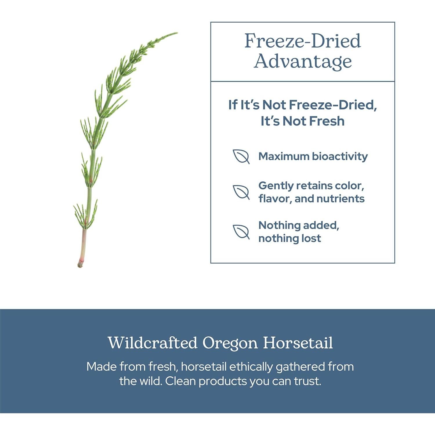 Cápsulas de Cola de Caballo Cruda Liofilizada Eclectic 90 CT