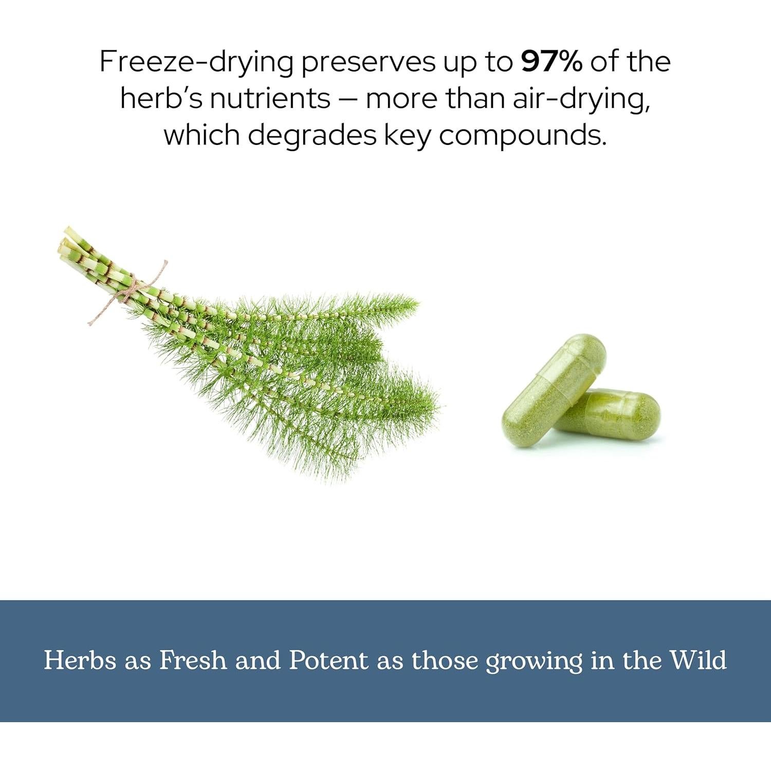 Cápsulas de Cola de Caballo Cruda Liofilizada Eclectic 90 CT