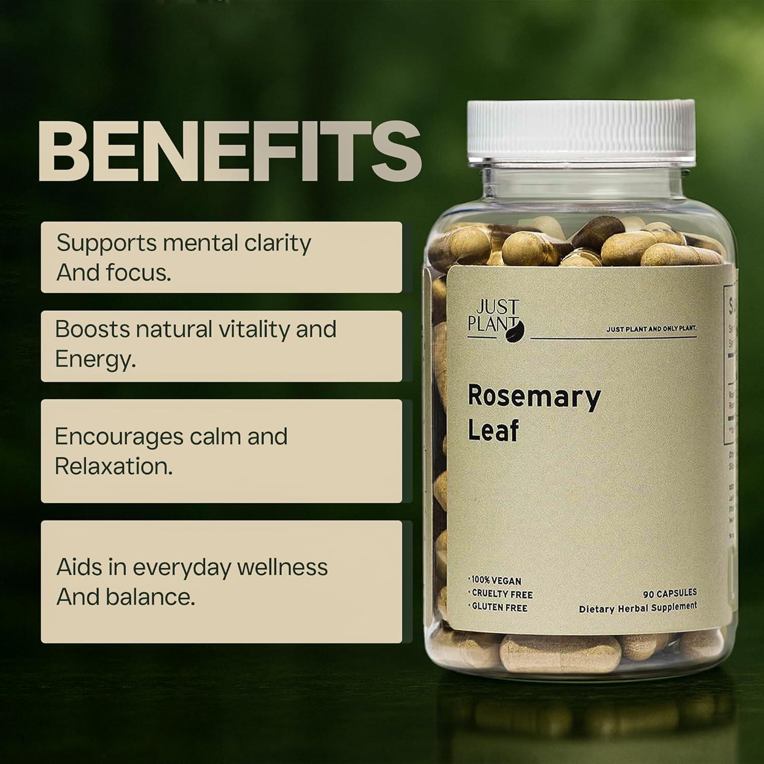 Extracto de hoja de romero Just Plant 500mg 90 cápsulas veganas