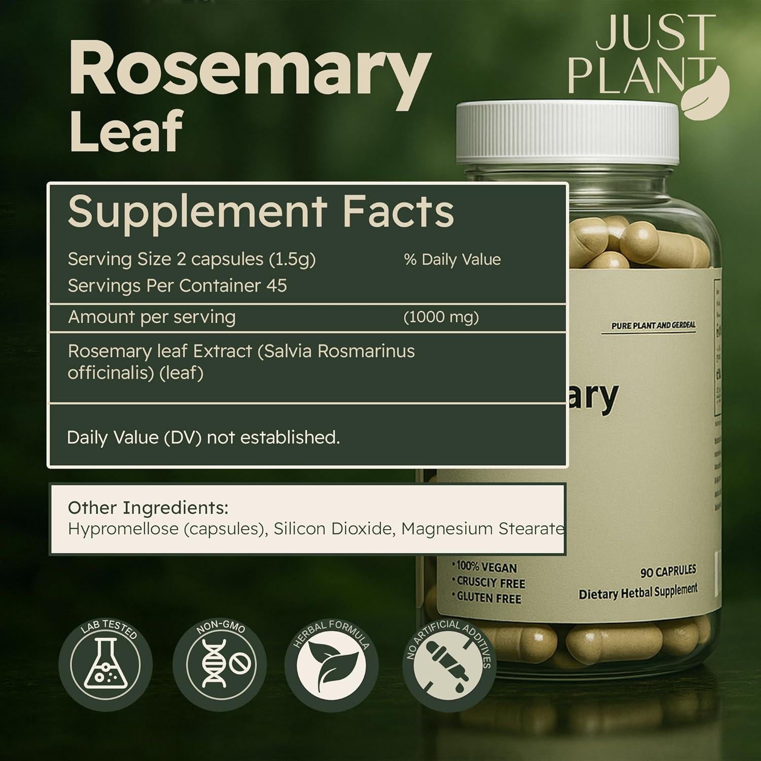 Extracto de hoja de romero Just Plant 500mg 90 cápsulas veganas