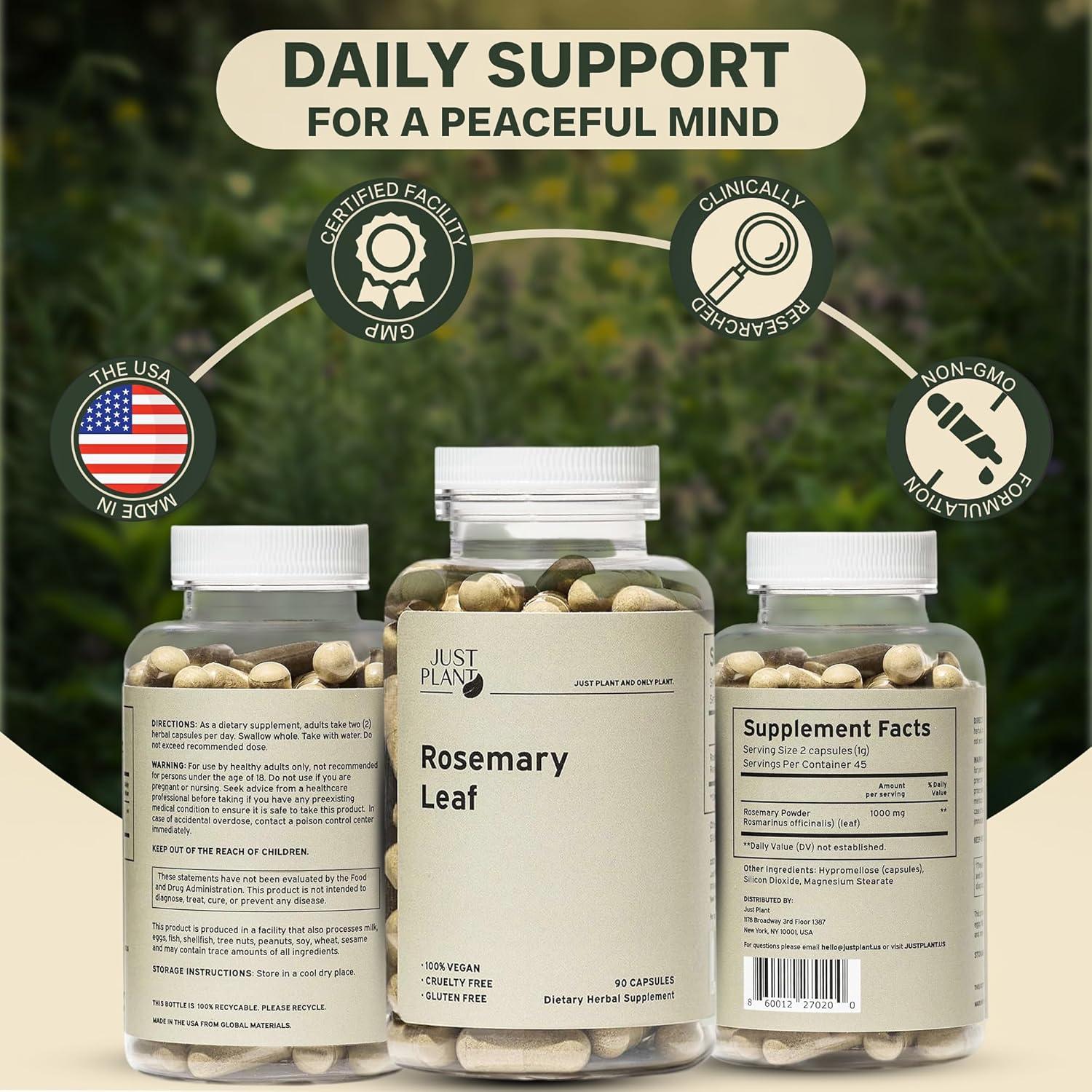 Extracto de hoja de romero Just Plant 500mg 90 cápsulas veganas