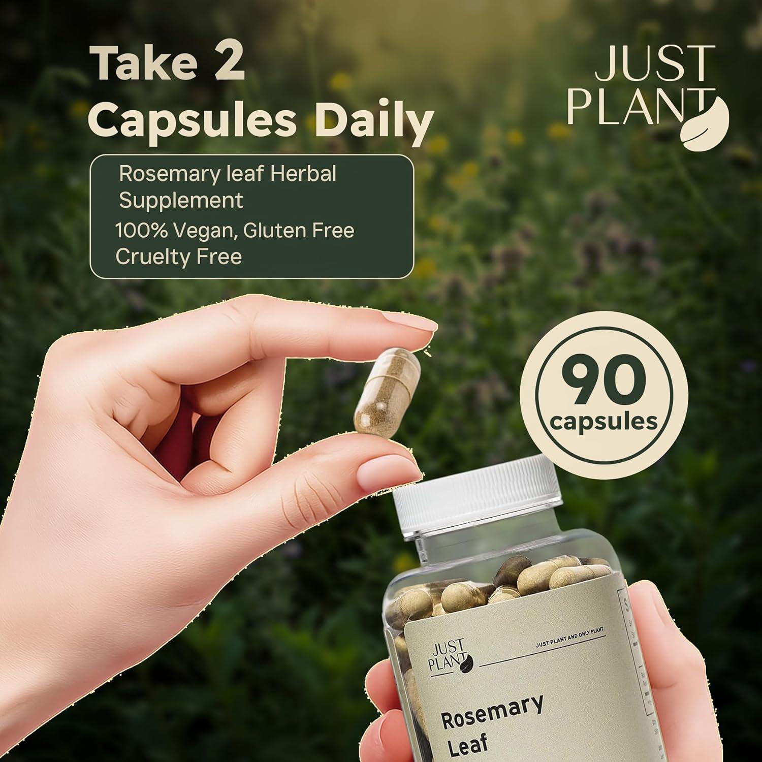 Extracto de hoja de romero Just Plant 500mg 90 cápsulas veganas