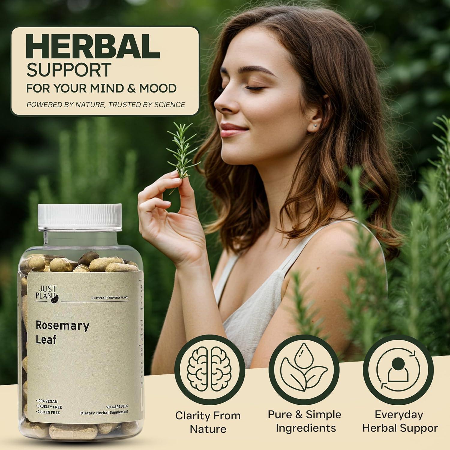 Extracto de hoja de romero Just Plant 500mg 90 cápsulas veganas