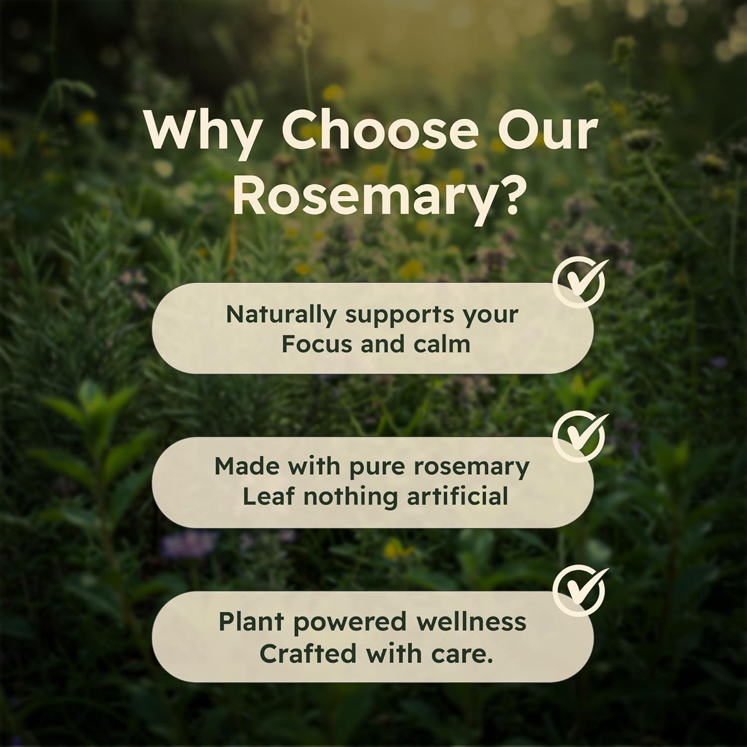 Extracto de hoja de romero Just Plant 500mg 90 cápsulas veganas