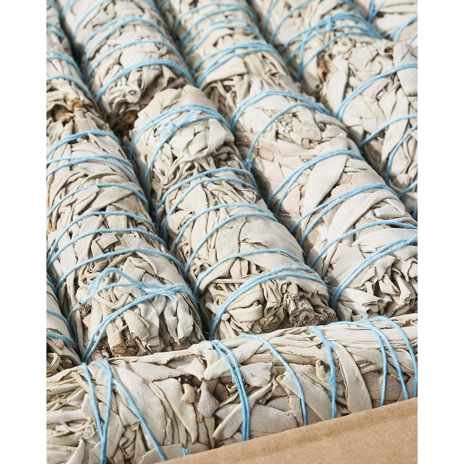 25 Palos de Salvia Blanca 10 cm Blue River Sage - Limpieza Energética