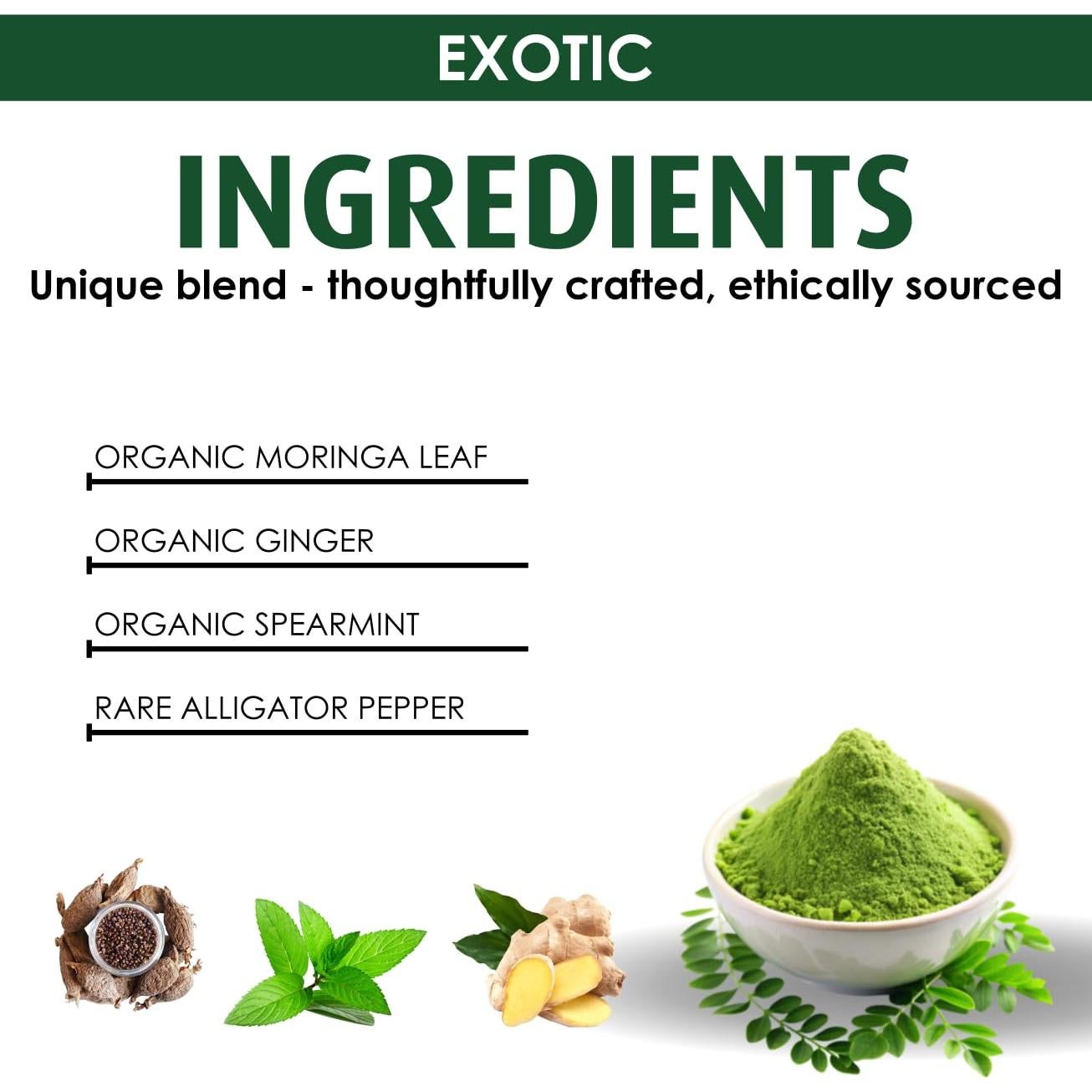 Bolsitas de Té de Moringa Orgánica Intuitigo - 15 Unidades