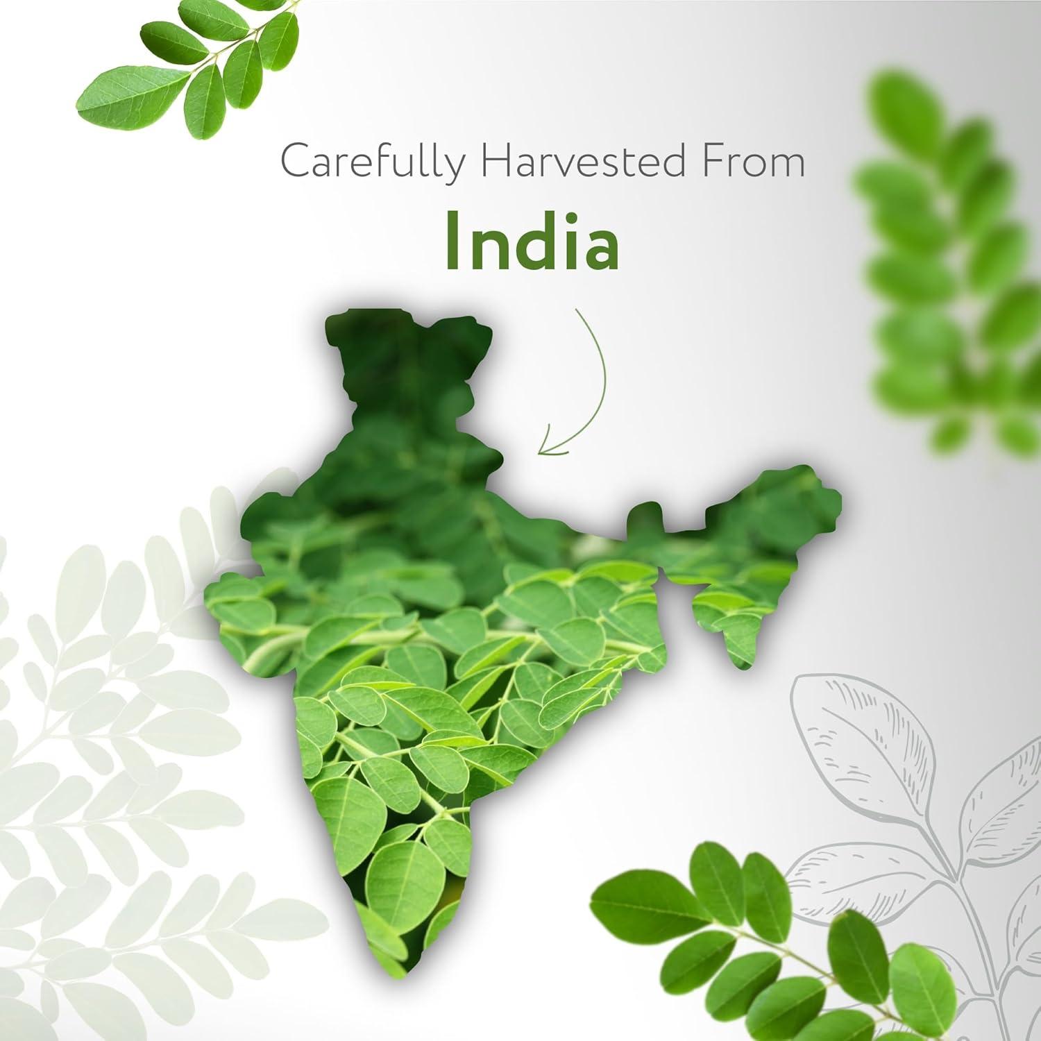 Aceite de Moringa Orgánico HBNO 120ml Prensado en Frío