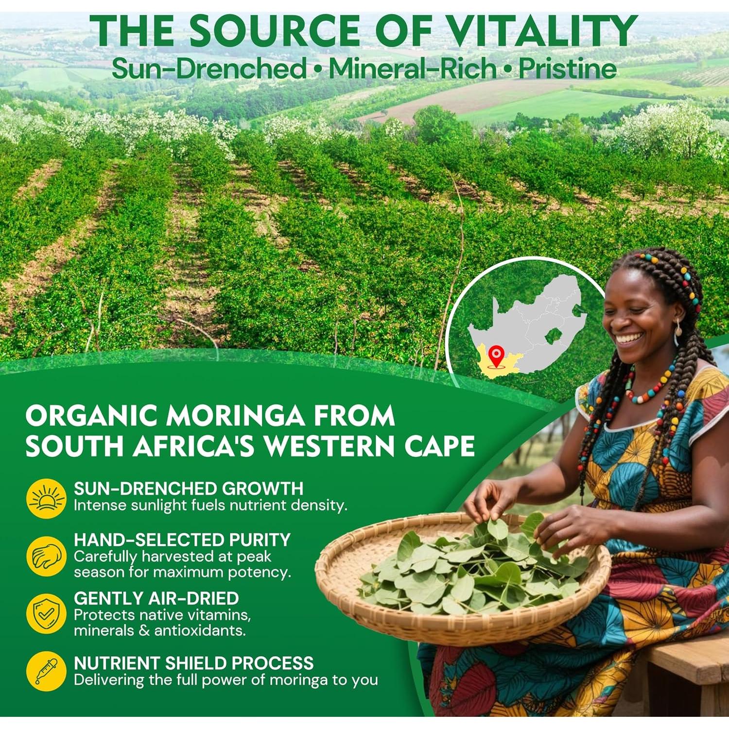 Gomitas de Moringa Orgánica 1000mg NextDia - 120 Unidades