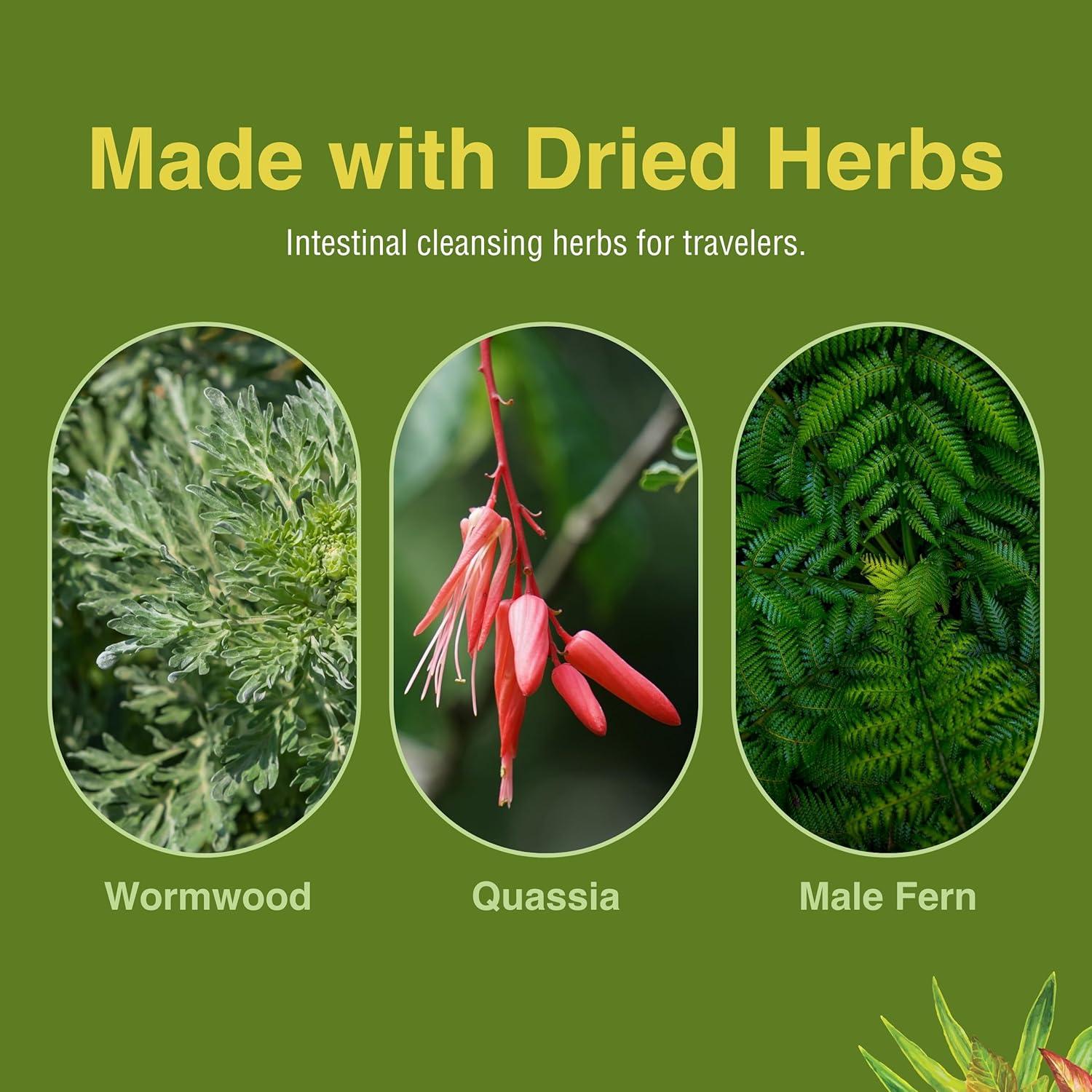 Suplemento Digestivo Herbal Herbs ParaFree - 60 Gelatinas