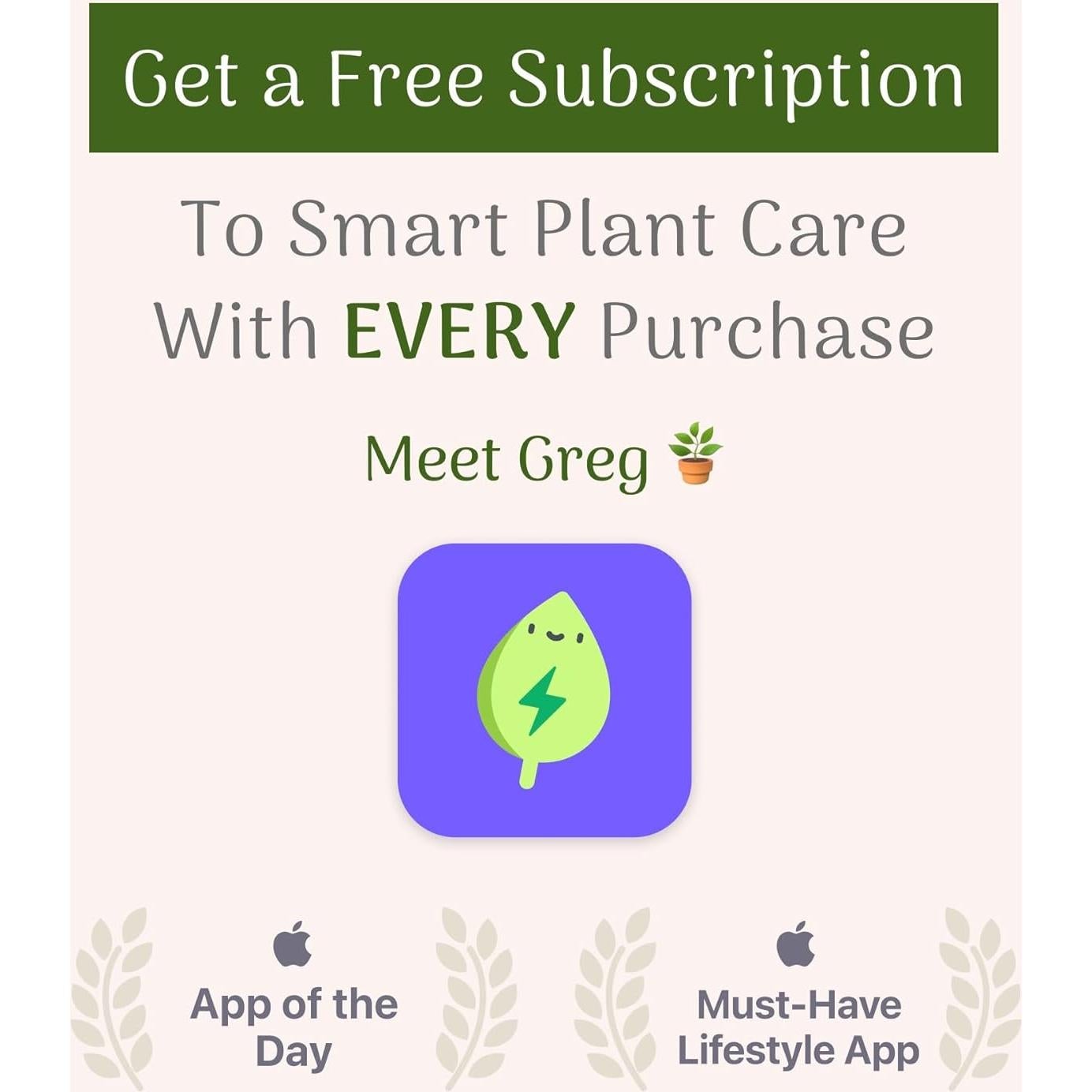 Planta Aloe Vera en Maceta 15 cm - Intercambio de Plantas Americanas