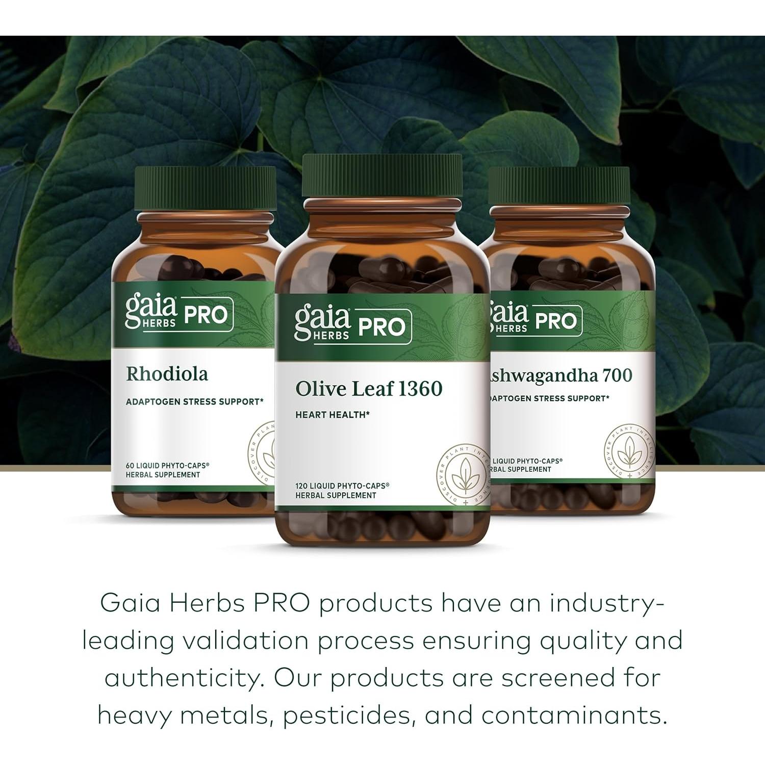 Suplemento Inmunológico Gaia Herbs Hoja de Olivo 1360 - 120 Cápsulas