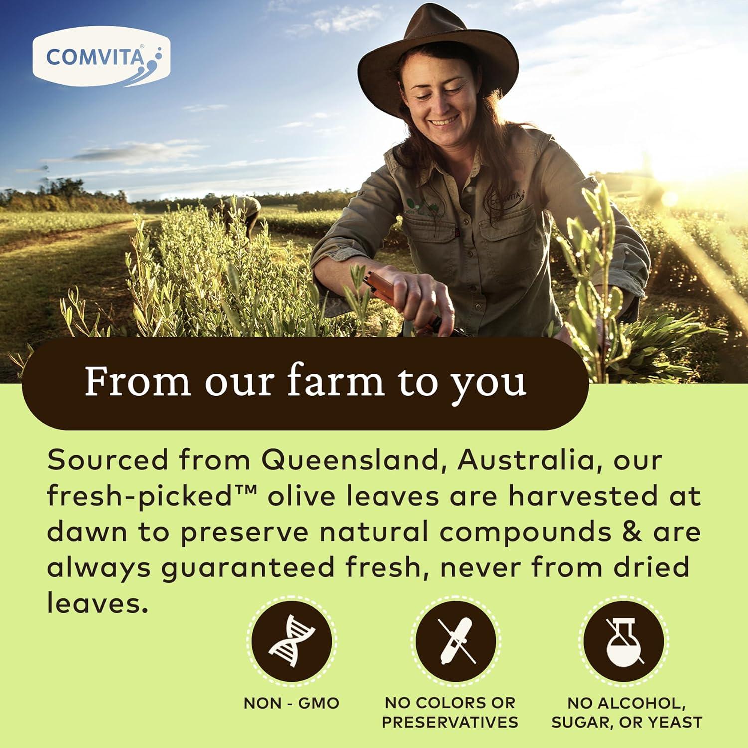 Extracto de Hoja de Olivo Comvita 500 ml - Suplemento Antioxidante