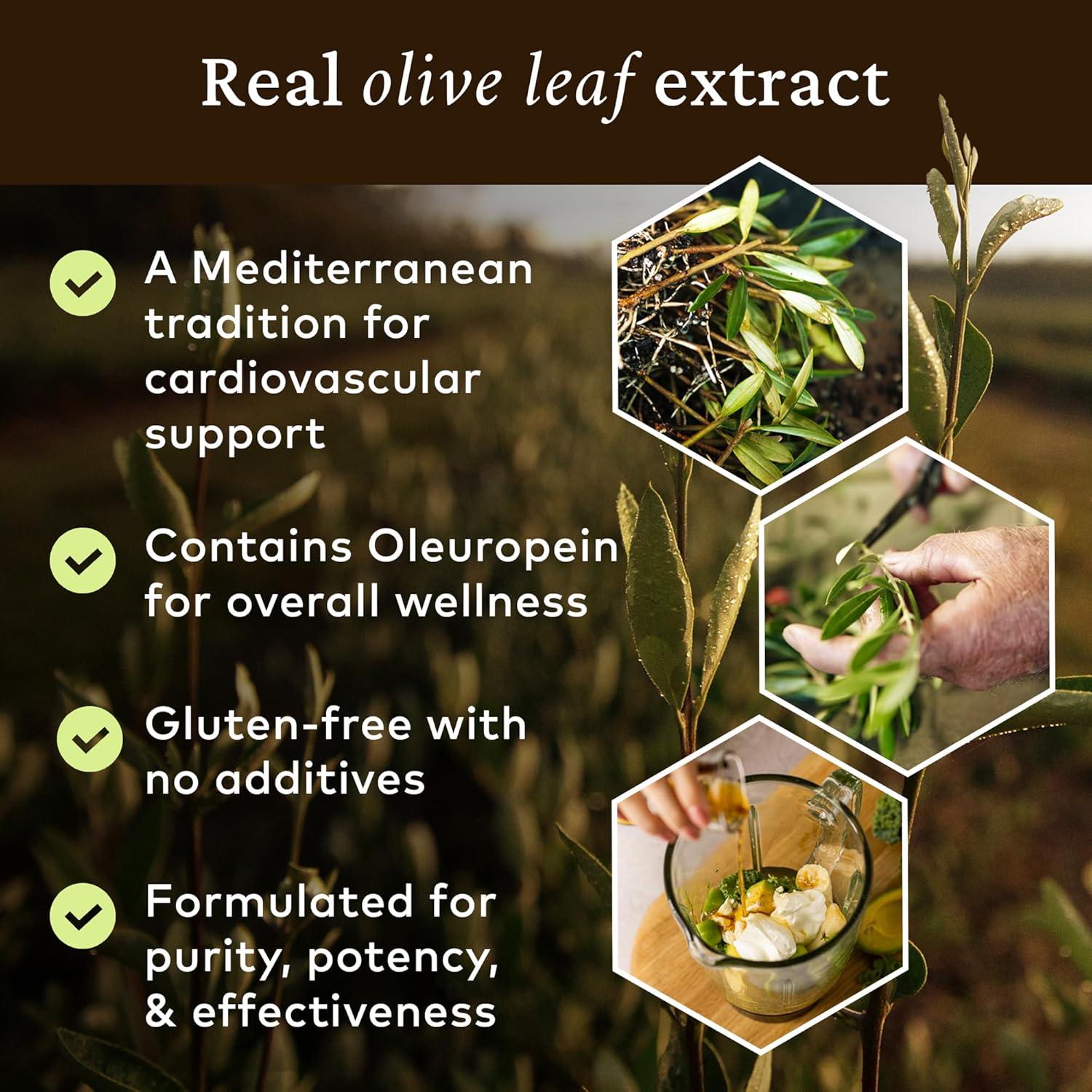 Extracto de Hoja de Olivo Comvita 500 ml - Suplemento Antioxidante