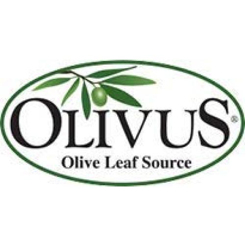 Té de Hoja de Olivo Orgánico Olivus - 100 Bolsitas Sin Cafeína