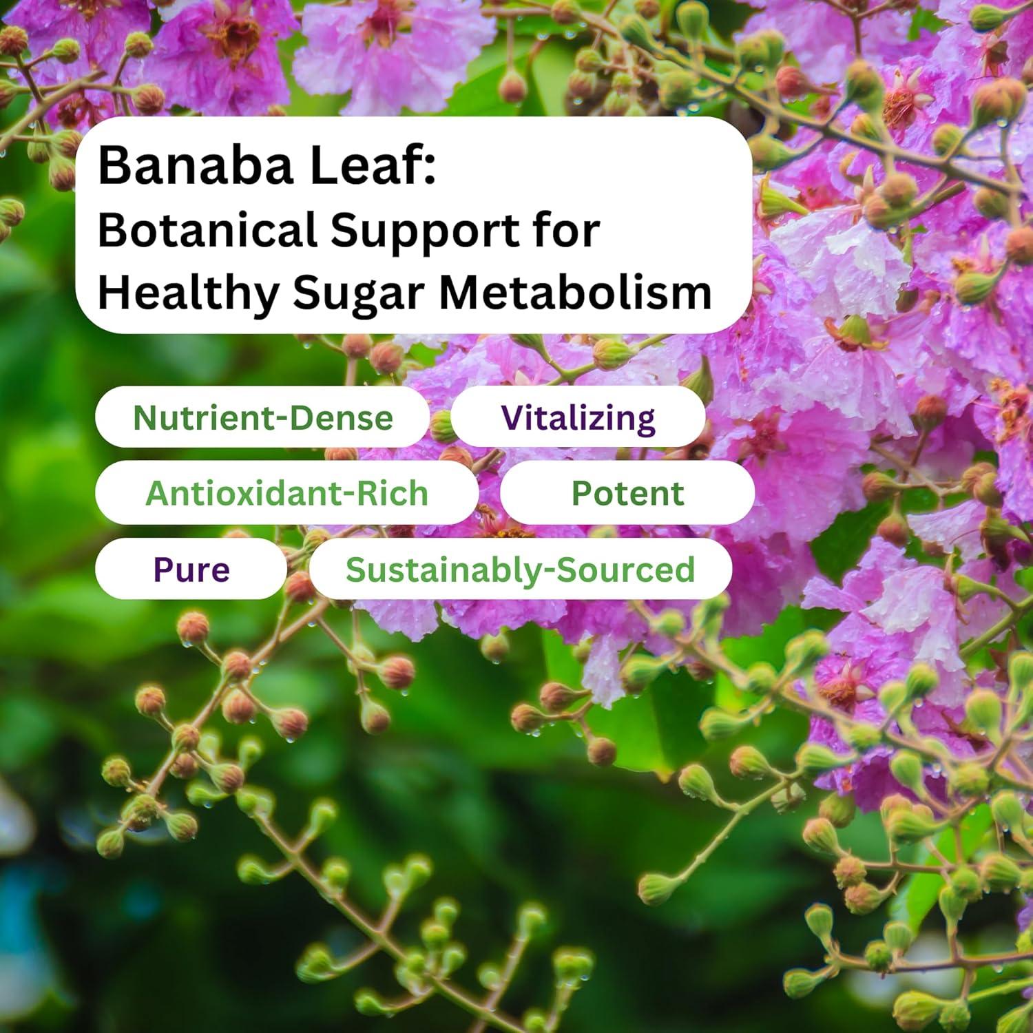 Suplemento Herbal Hoja de Banaba 250 mg Hierbas del Paraíso 180 Cápsulas