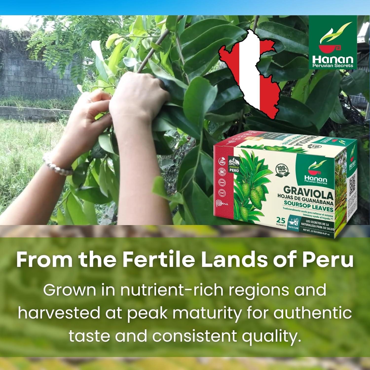 Té de Hojas de Guanábana Hanan - 25 Bolsitas 100% Natural