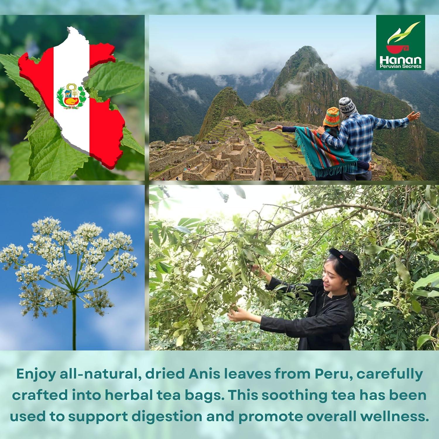 Té de Anís Hanan 25 Bolsitas - Natural y Digestivo