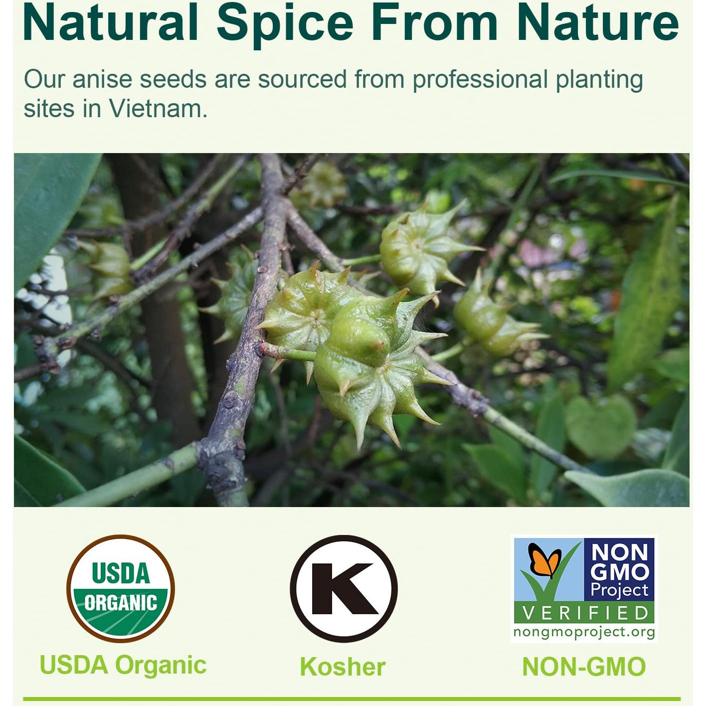 Polvo Orgánico de Anís Estrellado Soeos 37g - Especia Natural