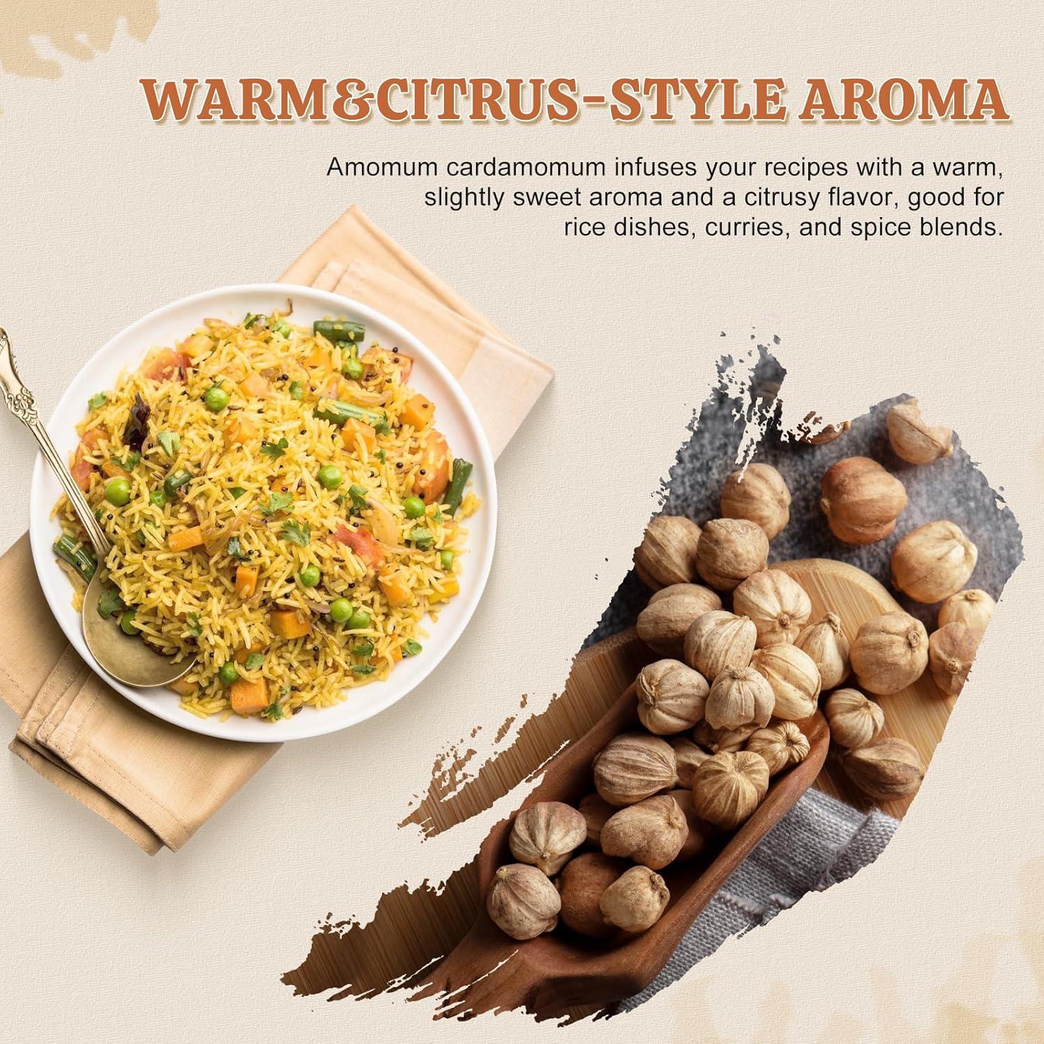 Vainas de Cardamomo Blanco 52USA 113g - Sin OGM, Aromático