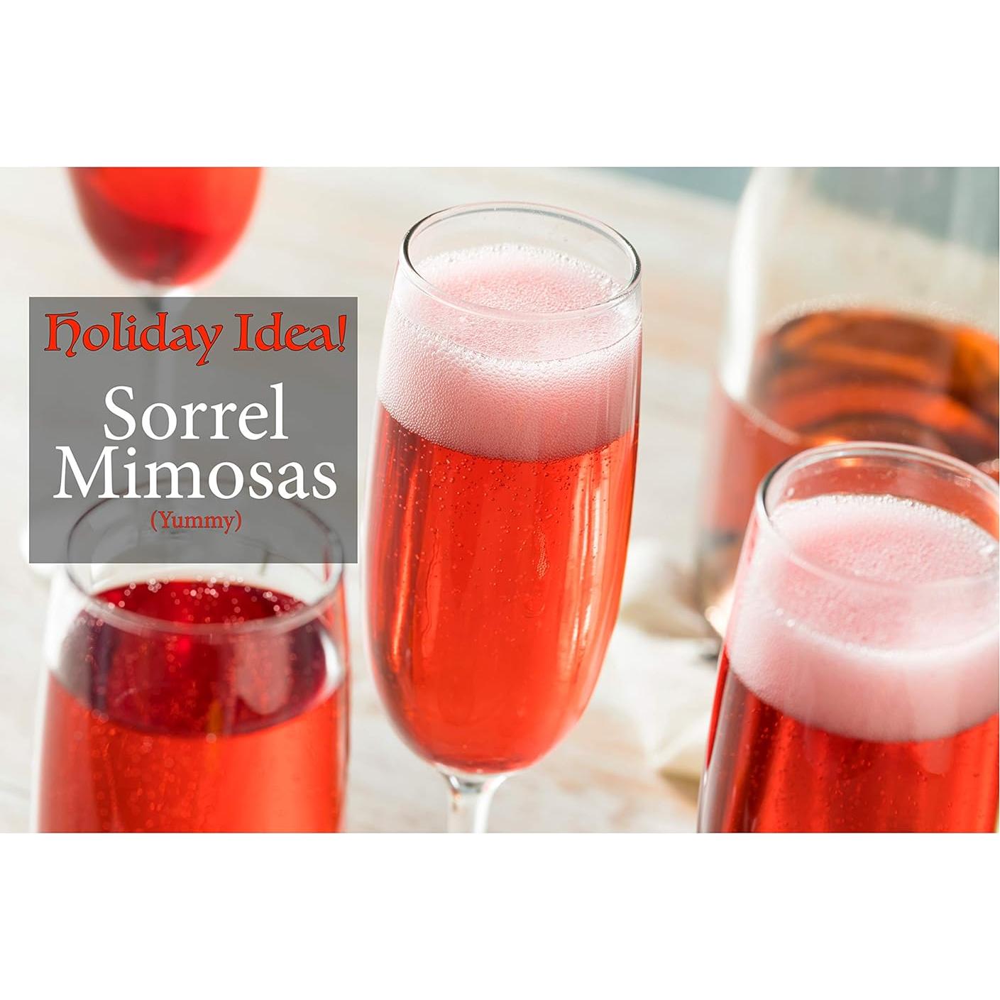 Flor de Jamaica Premium RHS 5 x 85 Gr Pétalo Entero Vegano