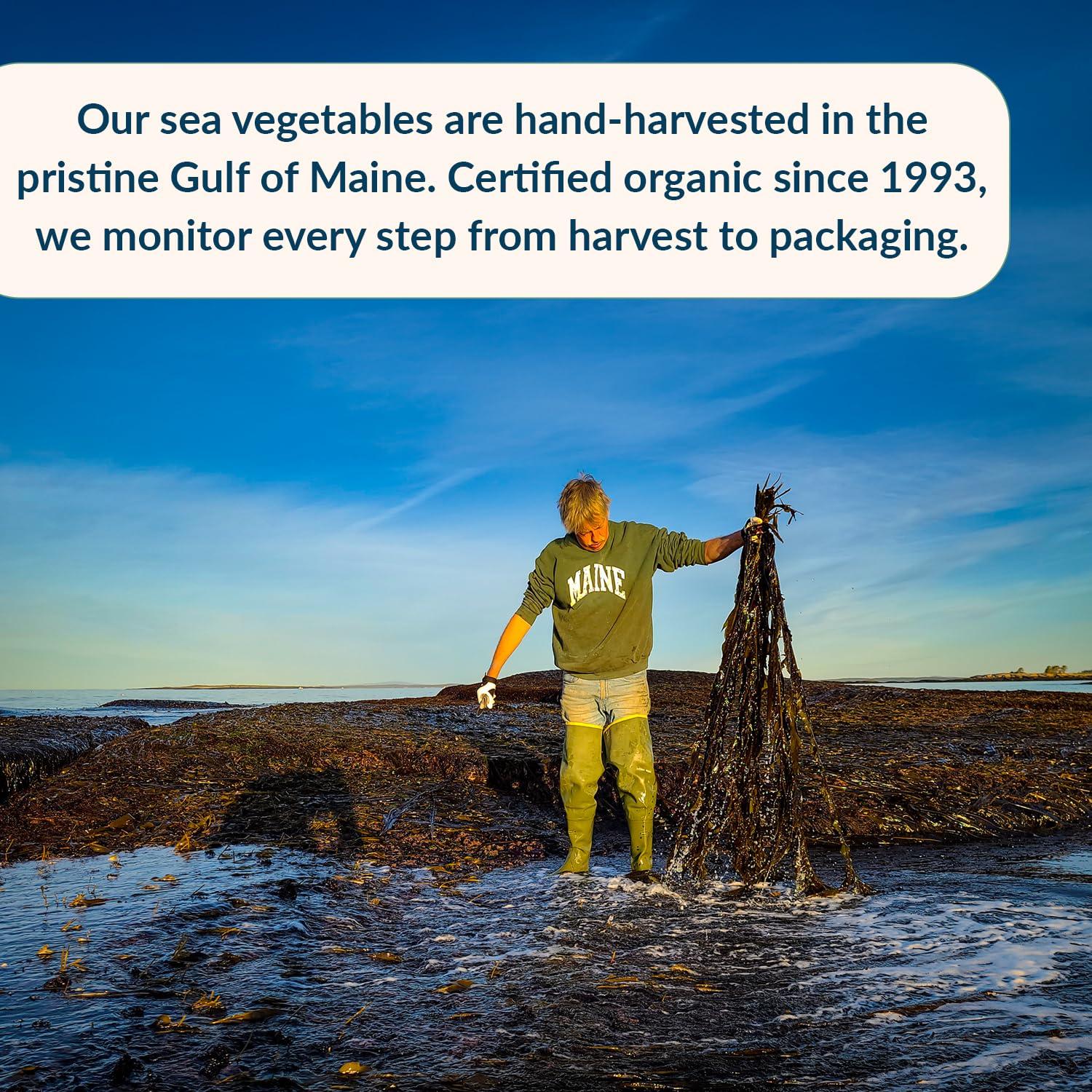 Paquete de Condimentos Marinos Maine Coast - Dulse, Kelp y Mezcla