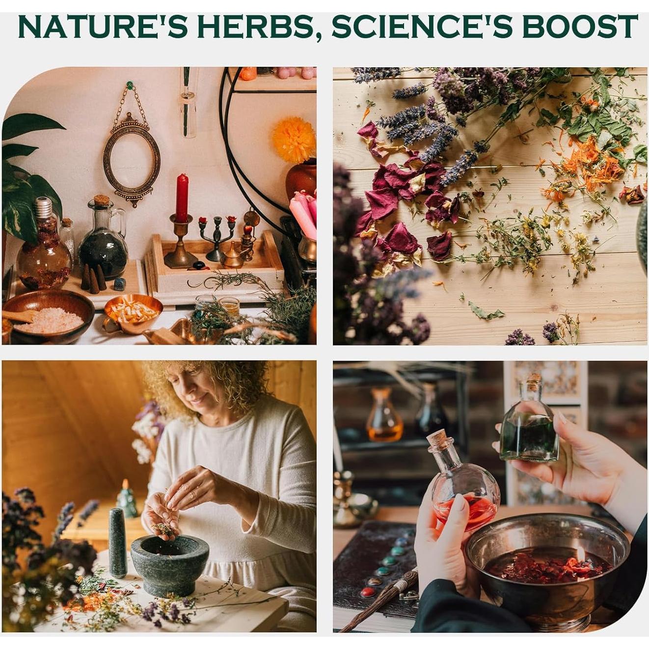 Extracto líquido de Nuez Negra y Ajenjo Orgánico 59 ml - Suplemento Digestivo