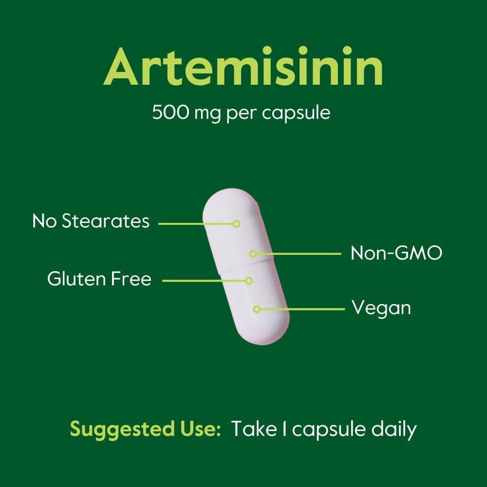 Artemisinina 500mg Bestvite - 60 Cápsulas Vegetarianas Veganas