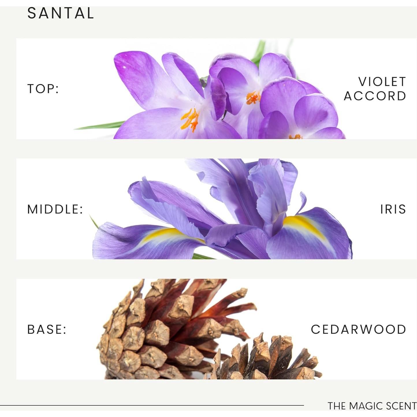 Aceite Difusor Santal La Fragancia Mágica 500 mL - Aromaterapia