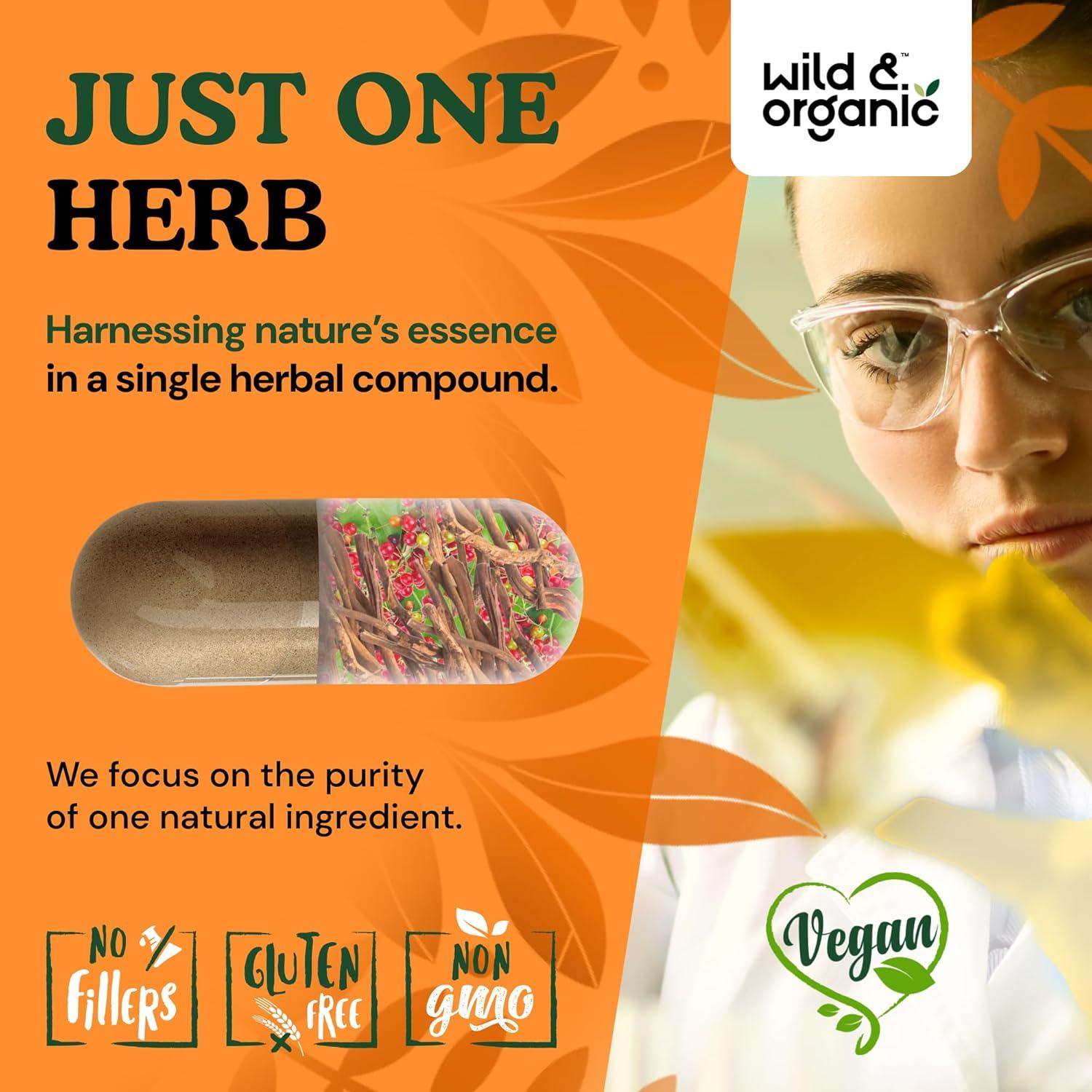 Cápsulas de Raíz de Sarsaparilla Silvestre 1000mg - 180 Unidades