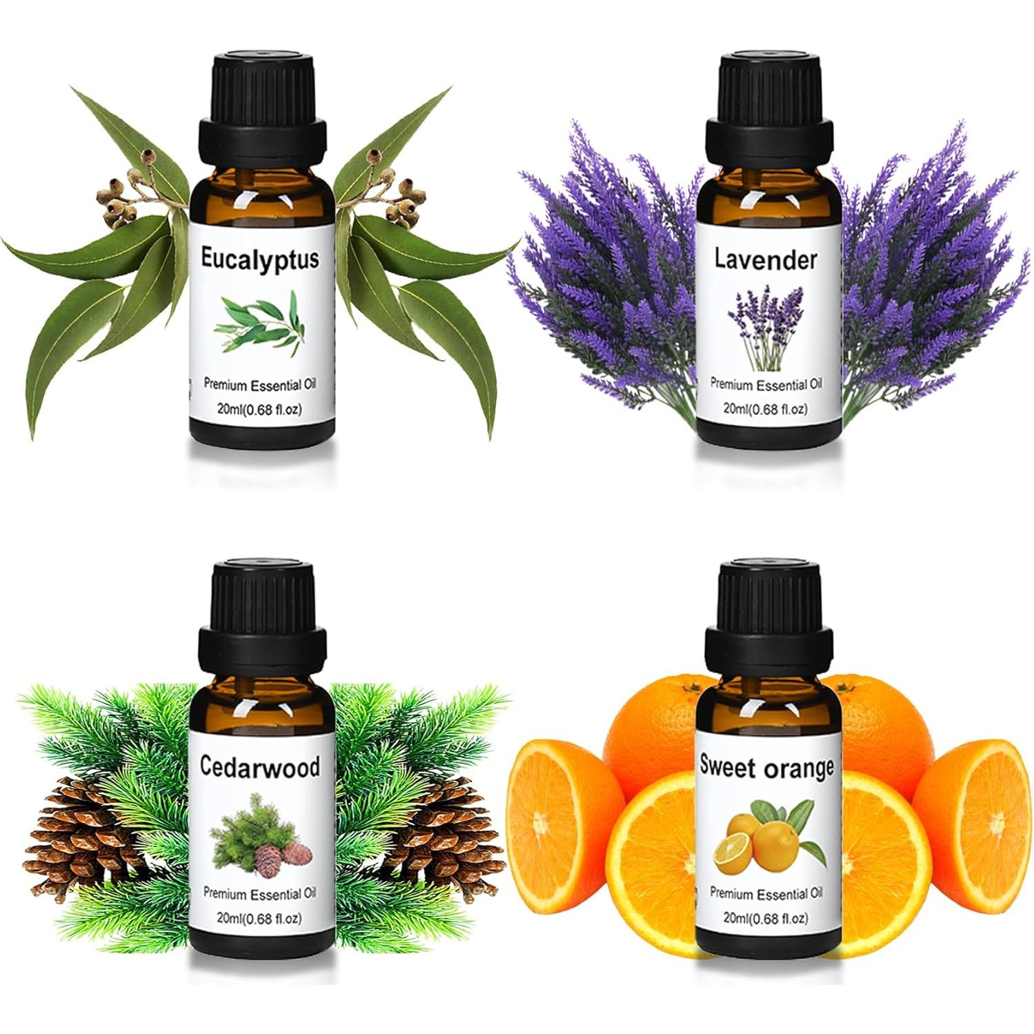 Juego de Aceites Esenciales Wtrcsv - Eucalipto, Lavanda, Naranja Dulce