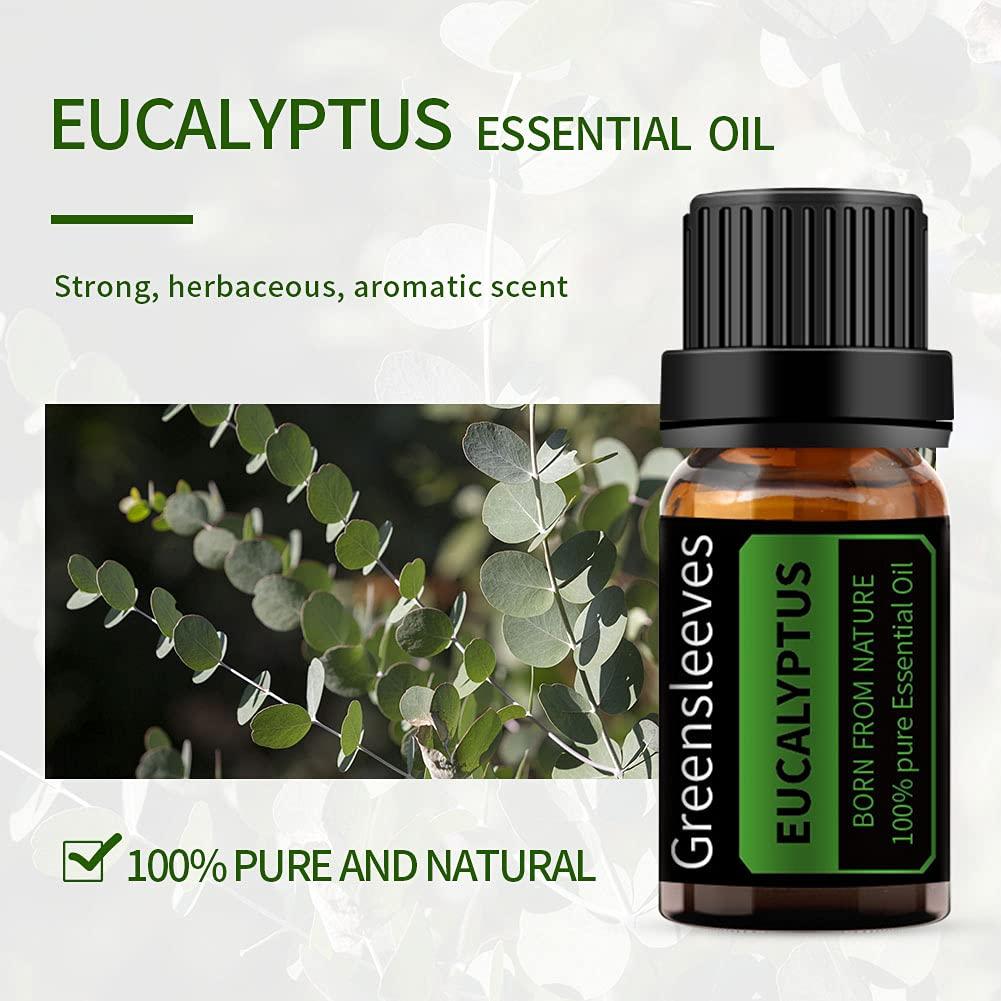 Aceite Esencial de Eucalipto Greensleeves 10ml para Aromaterapia