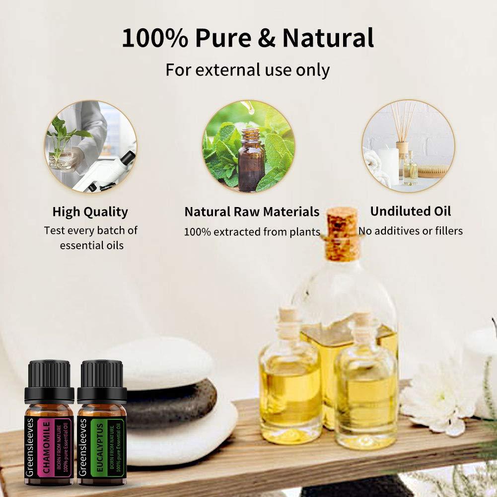 Aceite Esencial de Eucalipto Greensleeves 10ml para Aromaterapia