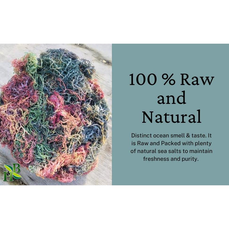 Musgo Marino Irlandés Herb To Body 113.4g | 100% Natural