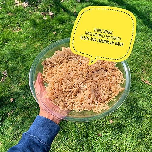 Musgo Marino Irlandés 100% Natural Sweet Sunnah 226.8g