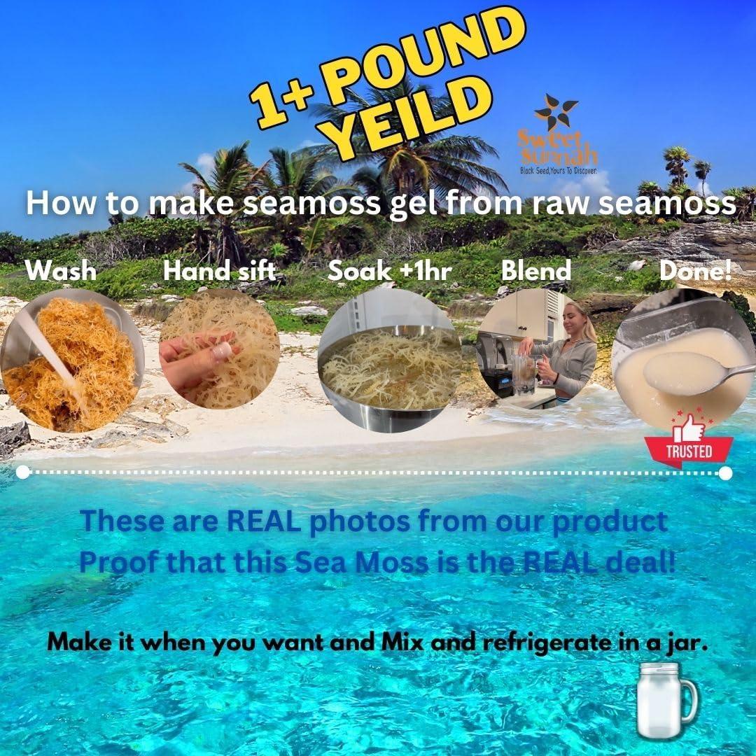 Musgo Marino Irlandés 100% Natural Sweet Sunnah 226.8g