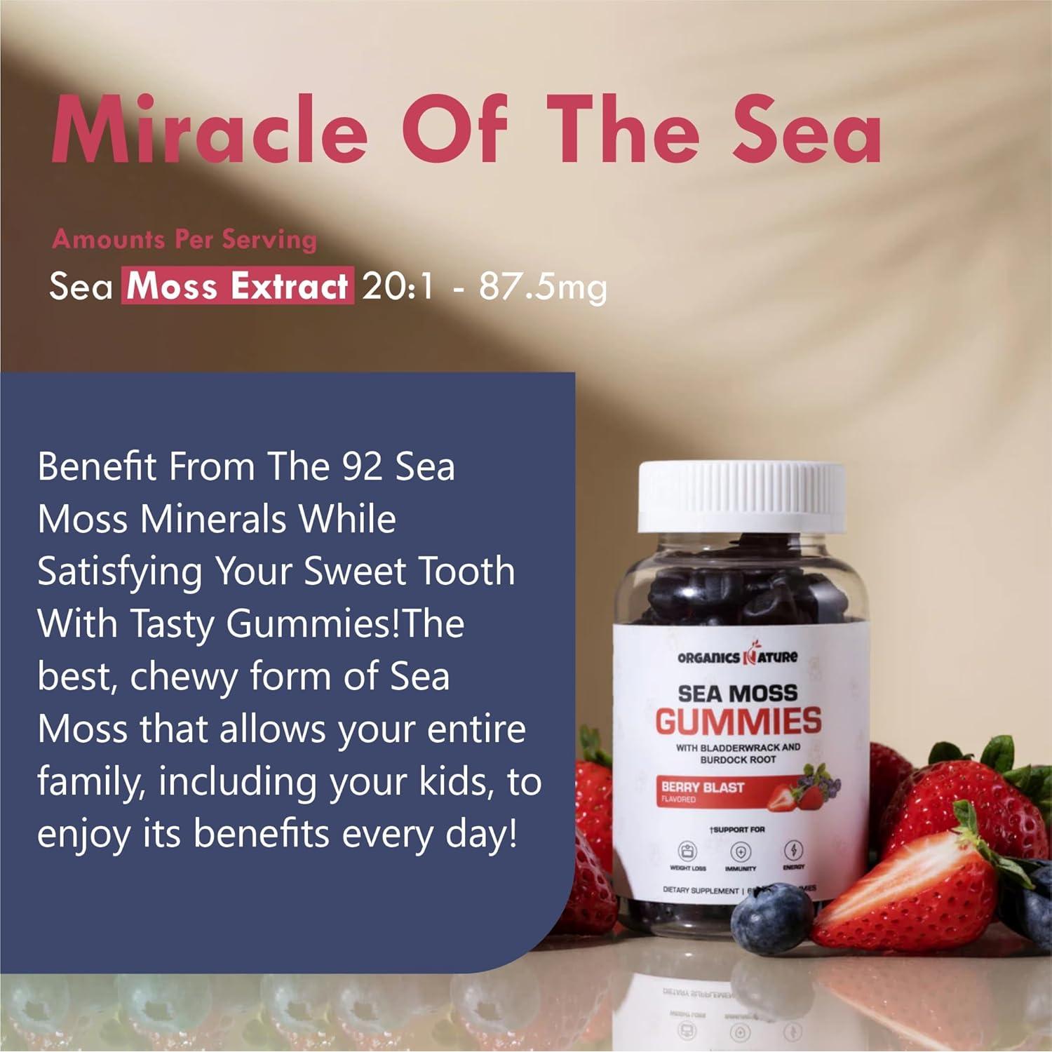 Gomitas de Musgo Marino Orgánico New Age 60 Unidades Sabor Bayas