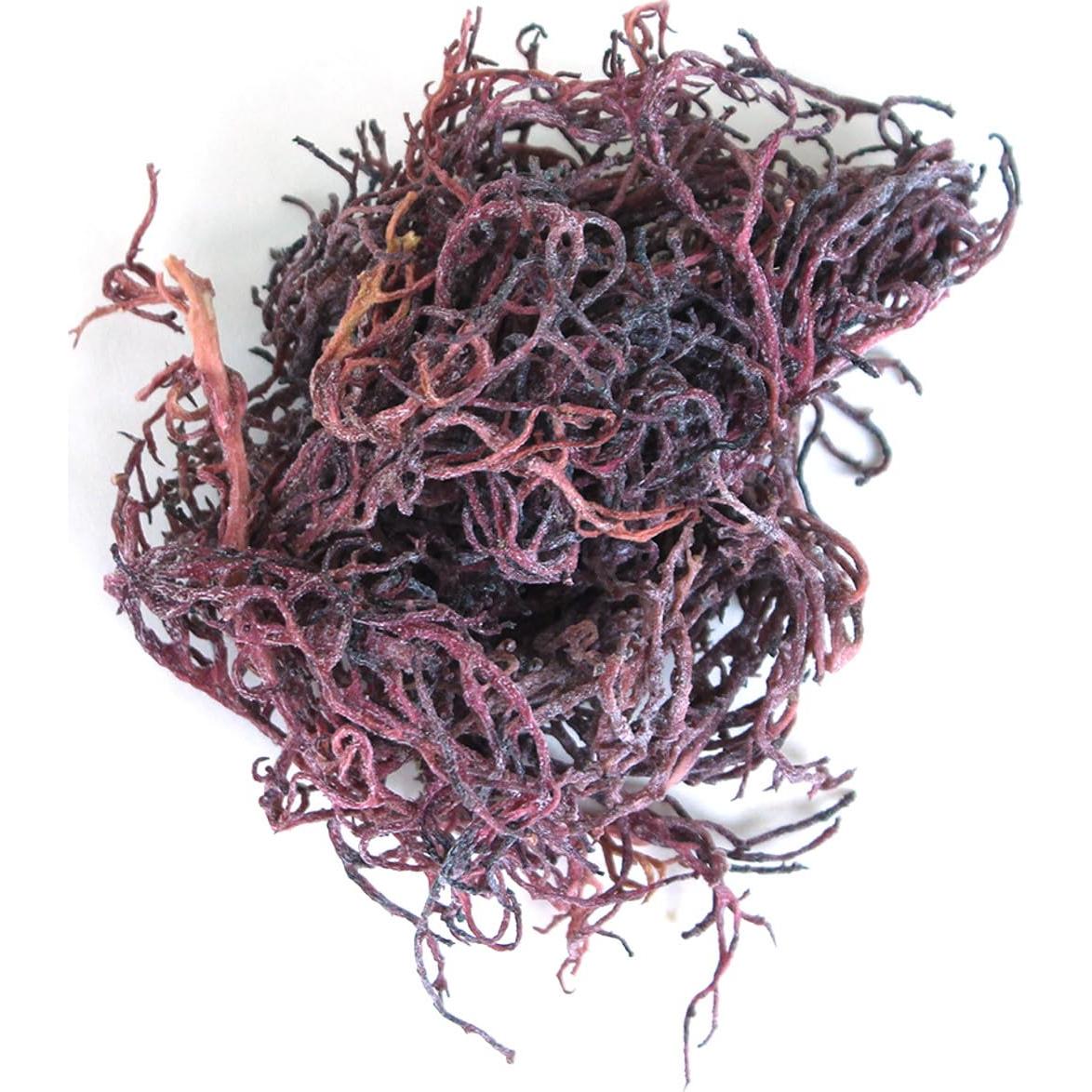 Musgo Marino Irlandés Púrpura Orgánico 4oz - 100% Natural