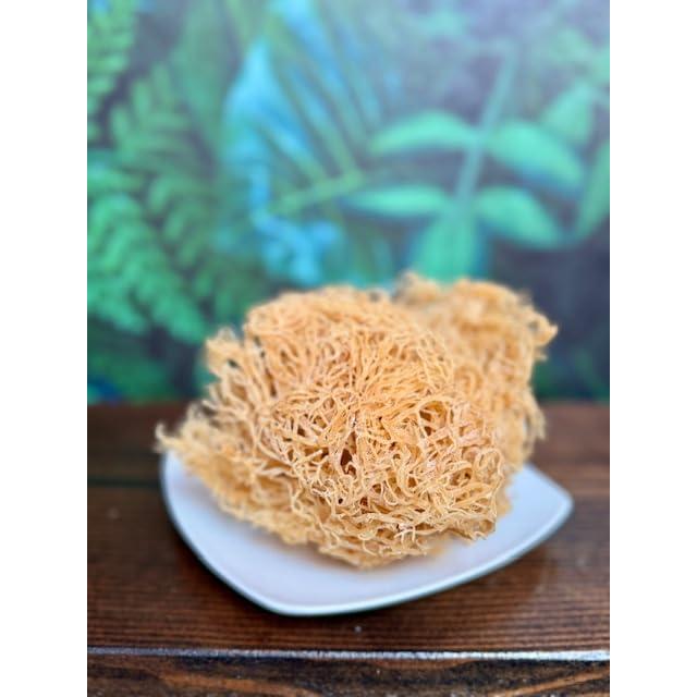 Musgo Marino Irlandés 100% Natural Dragon Spirit 113g