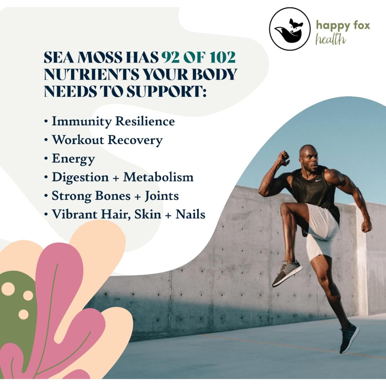 Musgo Marino Orgánico Crudo Happy Fox 100g - Superalimento