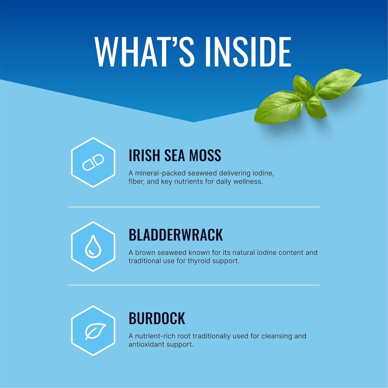 Suplemento Musgo Marino Irlandés Approved Science 180 Cápsulas