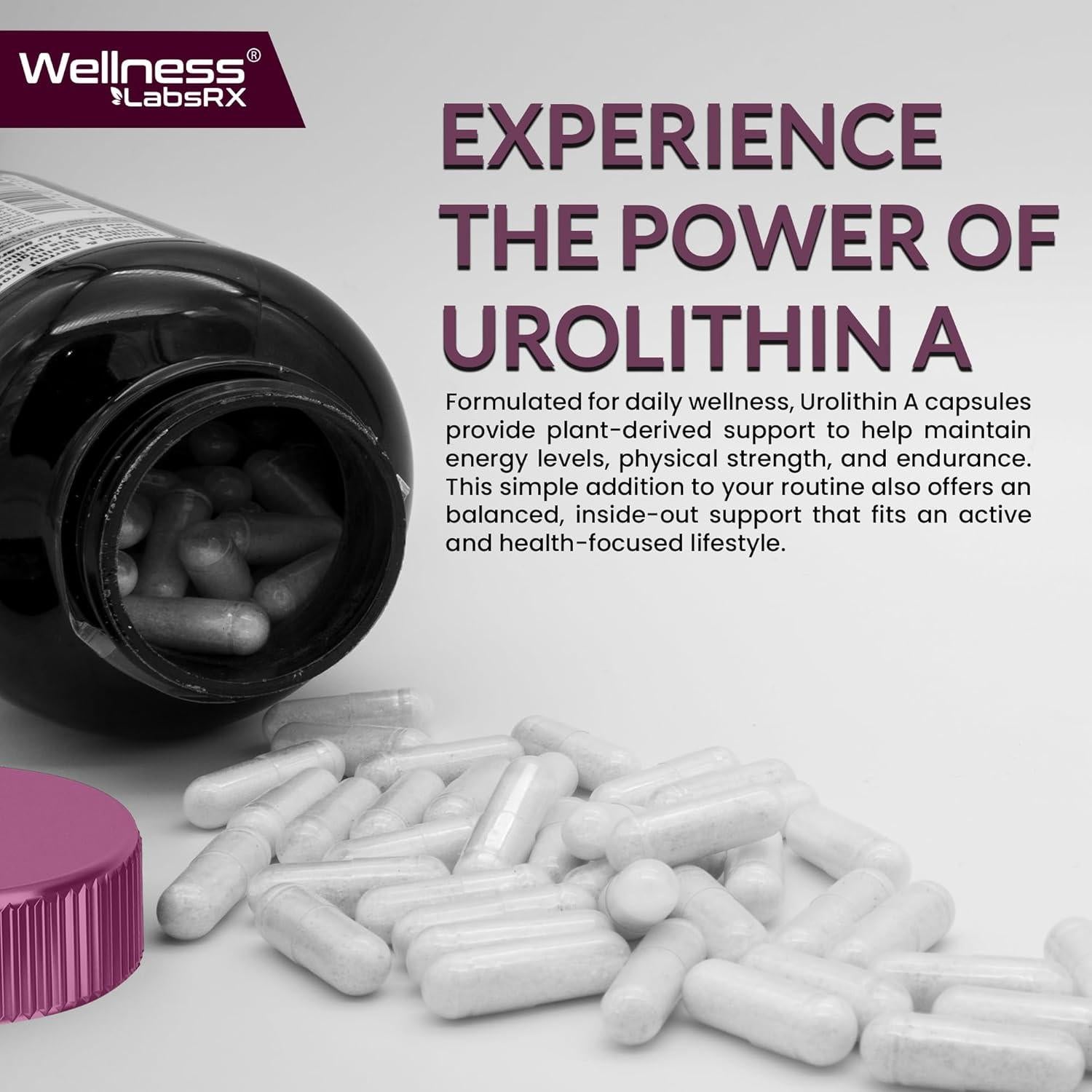 Cápsulas de Suplemento Urolithin A 1000mg Wellness Labs - 120 Unidades