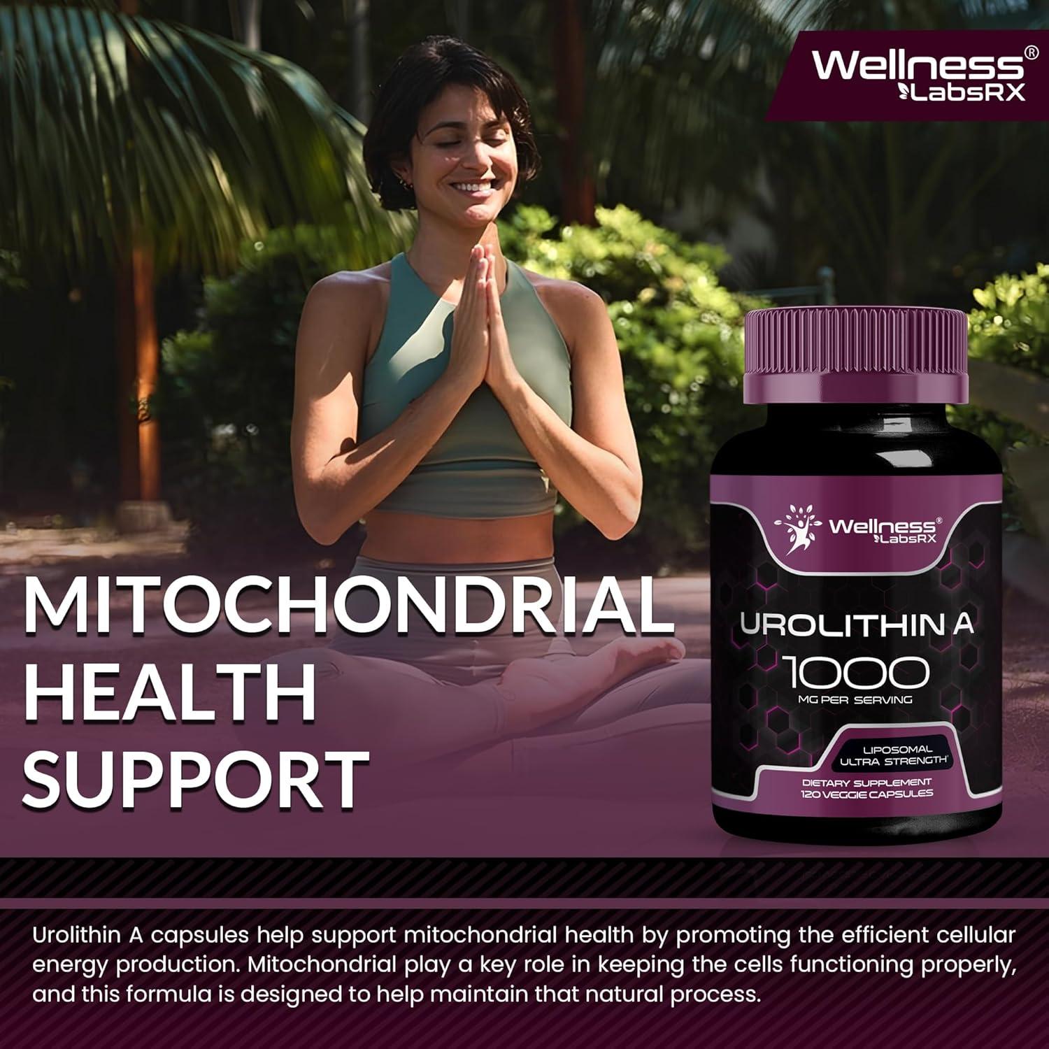 Cápsulas de Suplemento Urolithin A 1000mg Wellness Labs - 120 Unidades