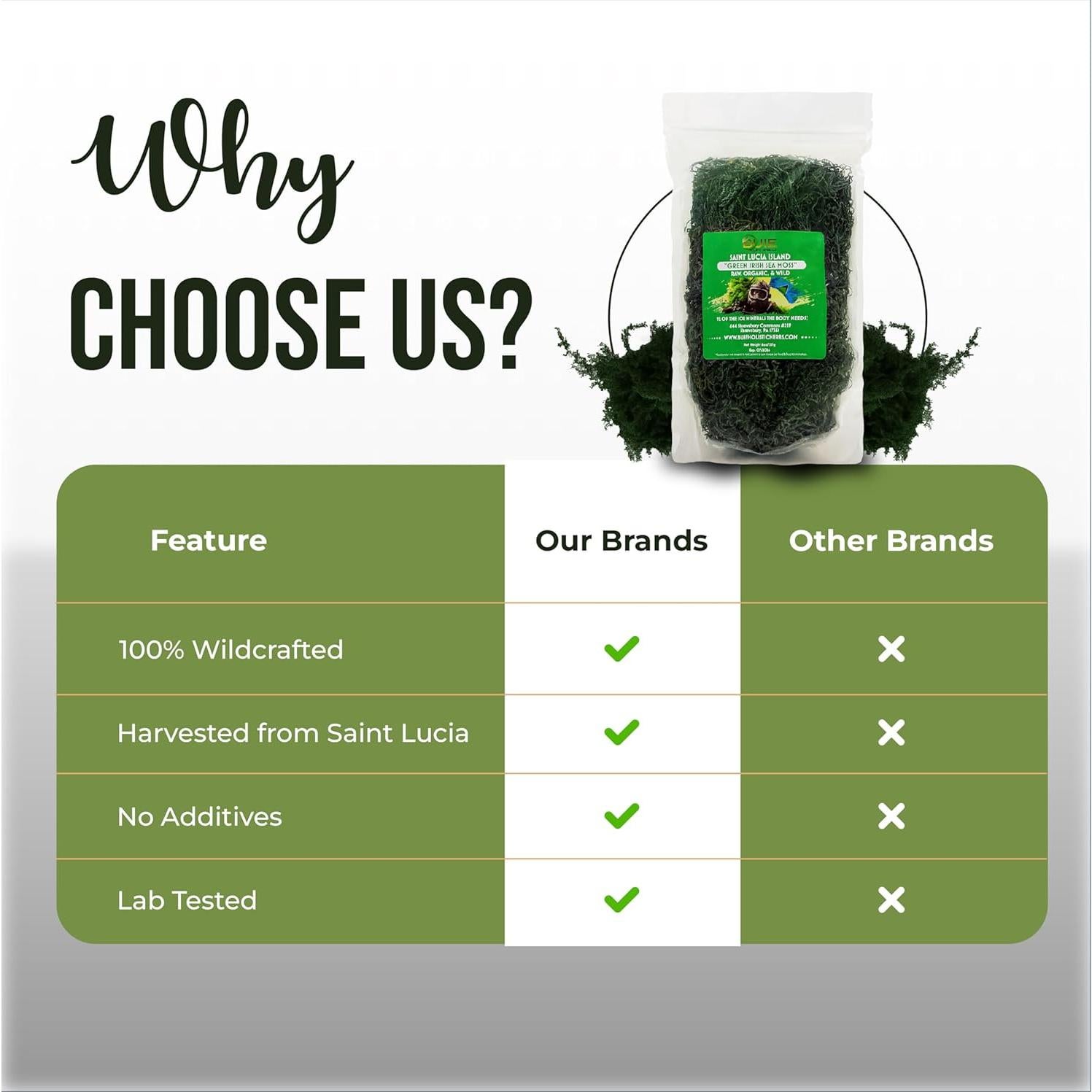 Musgo Marino Irlandés BUIE 227 g | 100% Natural y Crudo