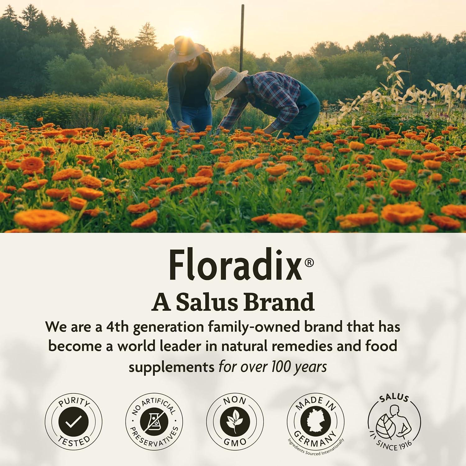 Floradix Epresat Multivitamínico Líquido 250 ml - Salus