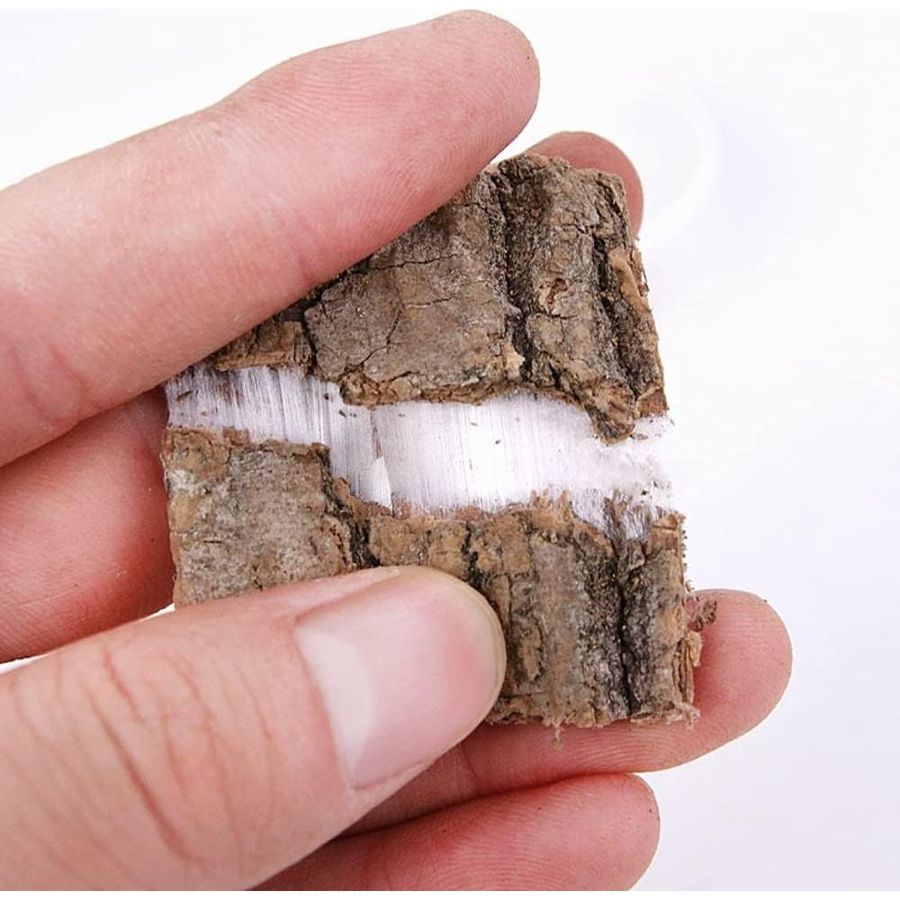 Té de Eucommia Genérico 250 g - Corteza de Eucommia Ulmoides